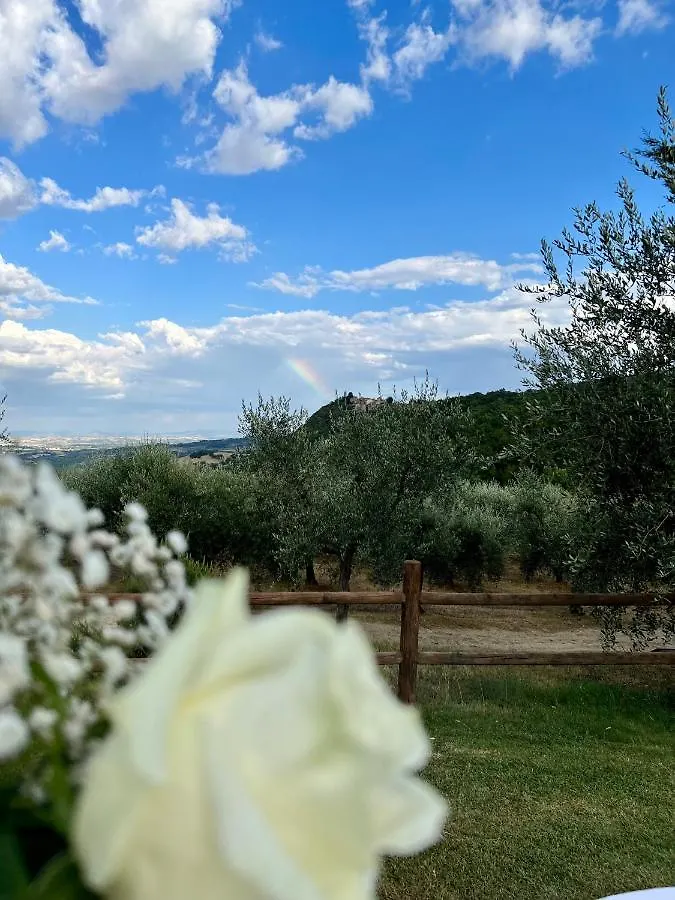 Alloggio per agriturismo Agriturismo Belagaggio Montefollonico