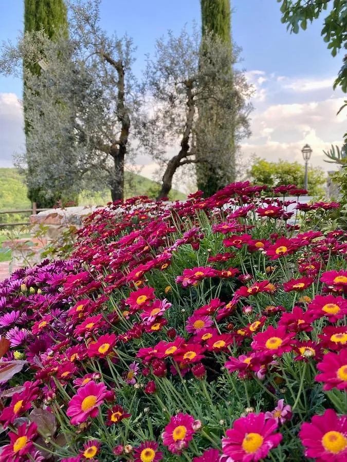 Agriturismo Belagaggio Montefollonico